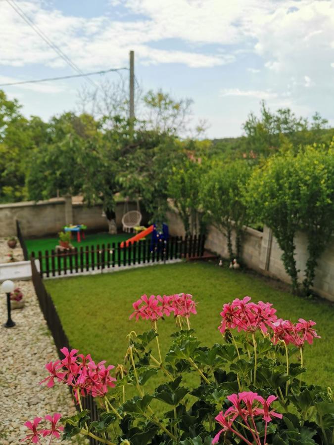 Villa Holly Μπαλτσίκ Εξωτερικό φωτογραφία